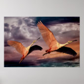 Zwei Vögel Poster (Vorne)