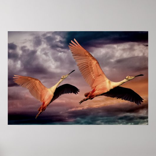 Zwei Vögel Poster (Vorne)