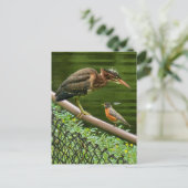 Zwei Vögel Postkarte (Stehend Vorderseite)