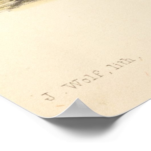 Zwei Vögel (Ptilonopus Auranthfrons) von Joseph Wo Poster (Ecke)