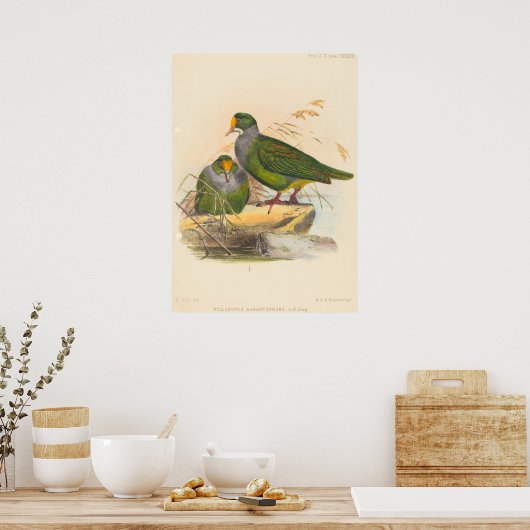 Zwei Vögel (Ptilonopus Auranthfrons) von Joseph Wo Poster (Küche)