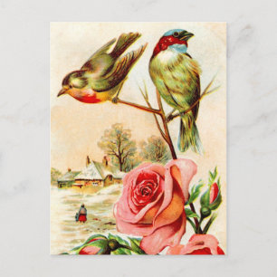 Zwei Vögel und Rose Postkarte
