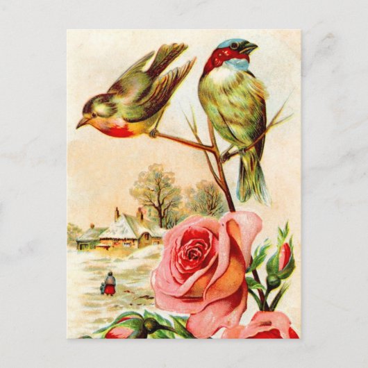 Zwei Vögel und Rose Postkarte (Vorderseite)