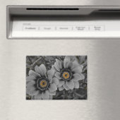 Zwei vom gleichen Schlag Magnet (In Situ (Geschirrspüler))