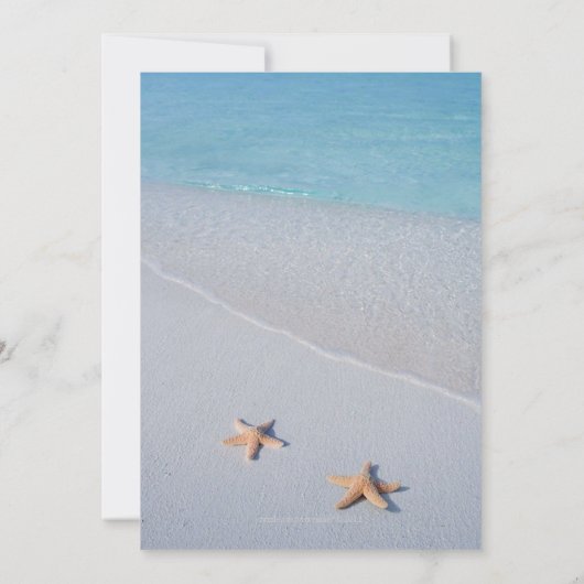 Zwei von uns| Hochzeitsfeiern in der Liebe des Oze Einladung (Rückseite)