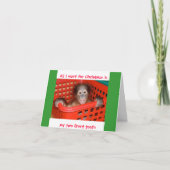 Zwei Vorderzähne zu Weihnachten (Vorderseite)