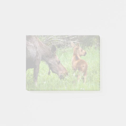 Zwei wachsame Elch-Mutter und Baby Post-it Klebezettel (Vorderseite)