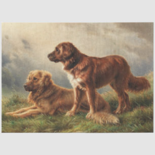 Zwei wachsamen Hunde Seidenpapier