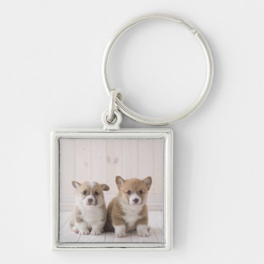 Zwei Waliser Corgi-Sitzen Schlüsselanhänger (Vorne)