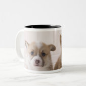 Zwei Waliser Corgi-Sitzen Zweifarbige Tasse (Vorderseite Links)