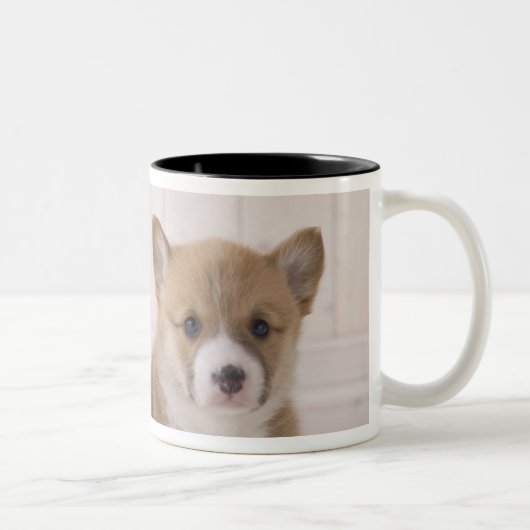 Zwei Waliser Corgi-Sitzen Zweifarbige Tasse (Rechts)