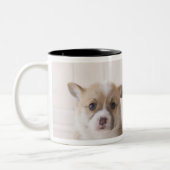 Zwei Waliser Corgi-Sitzen Zweifarbige Tasse (Links)