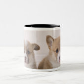 Zwei Waliser Corgi-Sitzen Zweifarbige Tasse (Mittel)