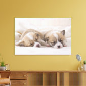 Zwei walisische Corgi Schlafen Leinwanddruck (Insitu (Wohnzimmer))