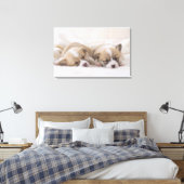 Zwei walisische Corgi Schlafen Leinwanddruck (Insitu (Schlafzimmer))