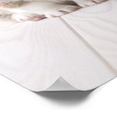 Zwei walisische Corgi-Sitze Poster (Ecke)