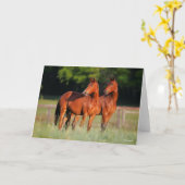 Zwei Warmblutpferde Stehend Karte (Gelbe Blume)