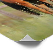 Zwei Warmblutpferde Stehend Poster (Ecke)