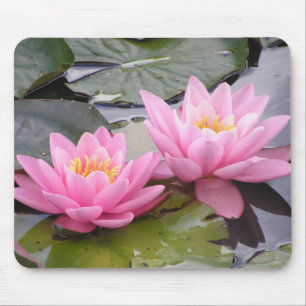 Zwei Wasserlilien des wilden Rosas in einem Teich Mousepad