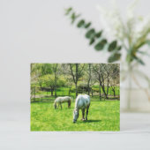 Zwei Weiden Postkarte (Stehend Vorderseite)