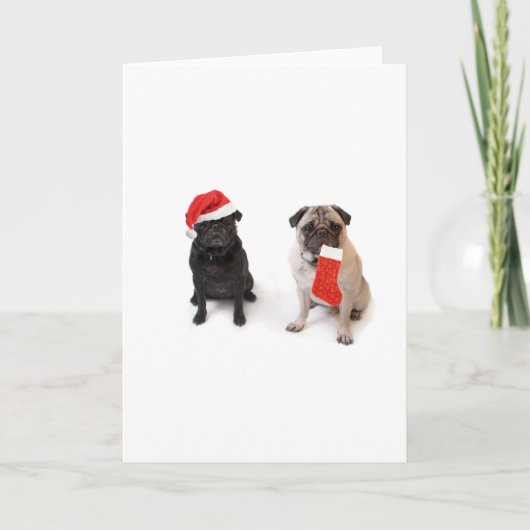Zwei Weihnachten-Mops Feiertagskarte (Vorderseite)