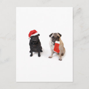 Zwei Weihnachten-Mops Feiertagspostkarte