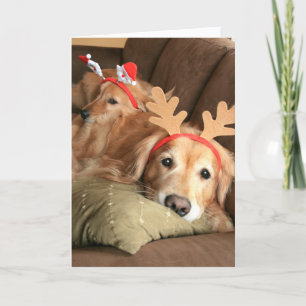 Zwei Weihnachtsfeiertage Golden Retrievers Feiertagskarte
