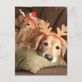 Zwei Weihnachtsfeiertage Golden Retrievers Feiertagspostkarte