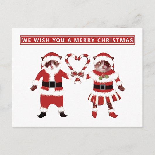 Zwei Weihnachtskarten für Katzen Postkarte (Vorderseite)