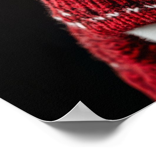 Zwei Weihnachtswelpen Poster (Ecke)