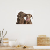 Zwei Weimaraner Poster (Küche)