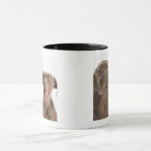 Zwei Weimaraners Tasse (Zentrum)