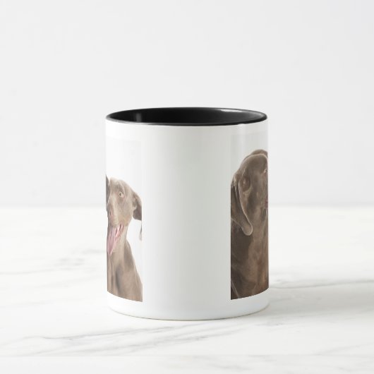 Zwei Weimaraners Tasse (Zentrum)