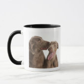 Zwei Weimaraners Tasse (Links)