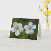 Zwei weiße Blumen-Gruß-Karte Karte (Gelbe Blume)