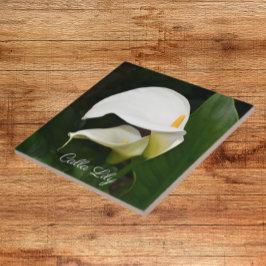 Zwei weiße Calla Lilies Floral Fliese