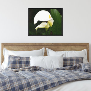 Zwei weiße Calla Lilies Floral Fotografie Leinwanddruck