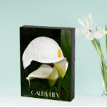 Zwei weiße Calla Lilies Floral Holzkisten Schild<br><div class="desc">Schwarz gestrichenes,  hölzernes Boxschild,  das zum Aufhängen oder stehend gestaltet wurde und ein Foto von zwei wunderschönen,  weißen Calla Lilies mit grünem Blattwerk aufweist. Text wird in weißer Schrift gedruckt. Eine schöne Dekoration für die Zuhause!</div>
