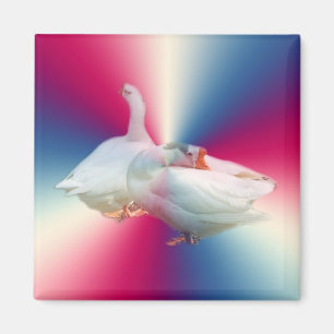 zwei weiße Gänse in fantasievollem Hintergrund. Magnet