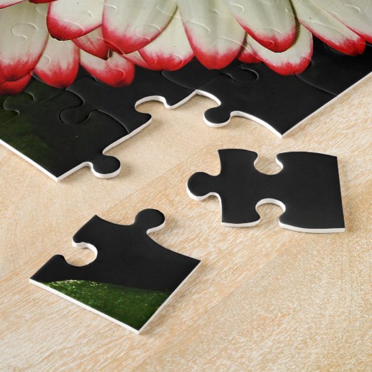 Zwei weiße Gerbera-Gänseblümchen Puzzle (Seite)