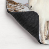 Zwei weiße isländische Pferde Mousepad (Ecke)