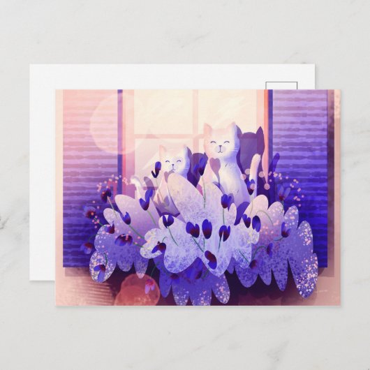 Zwei weiße Katzen sitzen am Fenster bei Sonnenunte Postkarte (Vorne/Hinten)