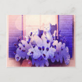 Zwei weiße Katzen sitzen am Fenster bei Sonnenunte Postkarte (Vorderseite)