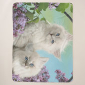ZWEI WEISSE KITTEN SHERPADECKE (Vorderseite)