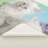 ZWEI WEISSE KITTEN SHERPADECKE (3/4)