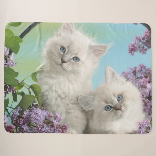 ZWEI WEISSE KITTEN SHERPADECKE (Vorderseite (Horizontal))