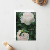 Zwei weiße Peonies Mitteilungskarte (Vorderseite/Rückseite Beispiel)