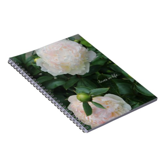Zwei weiße Peonies Notizblock (Rechte Seite)