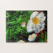 Zwei weiße Pflaumen Puzzle (Horizontal)