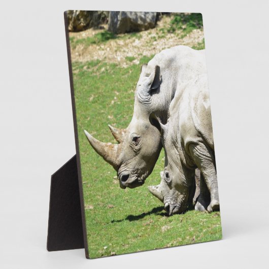 Zwei weiße Rhinozeros im Gras Fotoplatte (Seite)